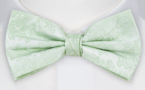 WEDDED PASTEL GREEN butterfly