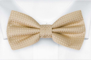 WEDLOCK Champagne butterfly