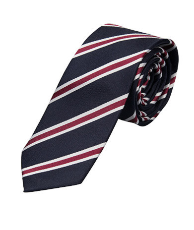Det regimentale slips